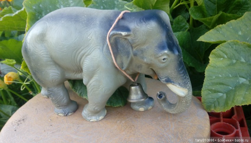 Слон Бэби в Ленинградском зоопарке