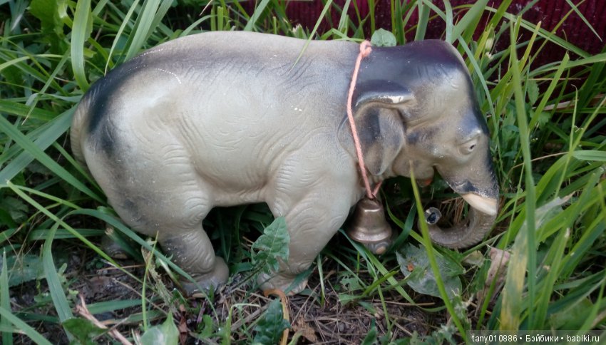 Слон Бэби в Ленинградском зоопарке