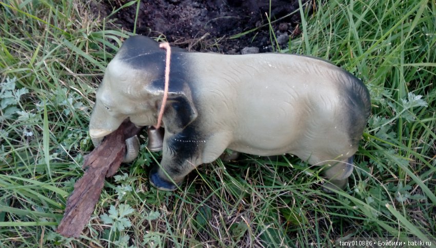 Слон Бэби в Ленинградском зоопарке (фото 7)