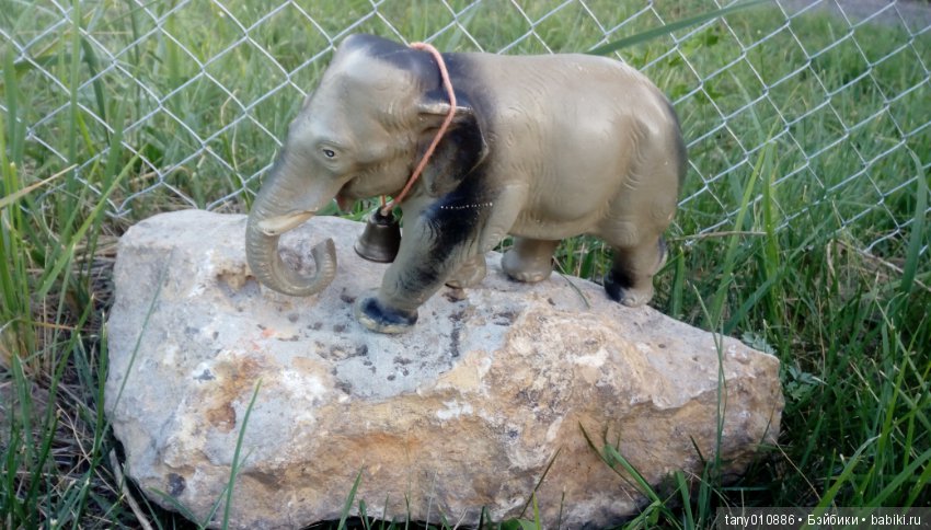 Слон Бэби в Ленинградском зоопарке
