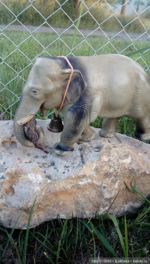 Слон Бэби в Ленинградском зоопарке (фото 8)