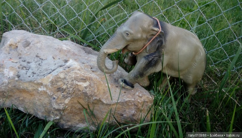 Слон Бэби в Ленинградском зоопарке