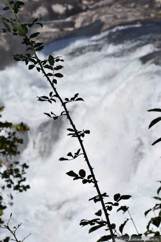Рeйнский водопaд, Швецария - Rheinfall