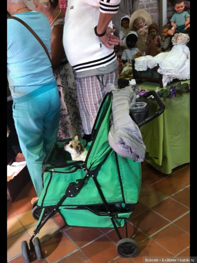 Выставка в Брюгге. Часть 3. Портретные фото