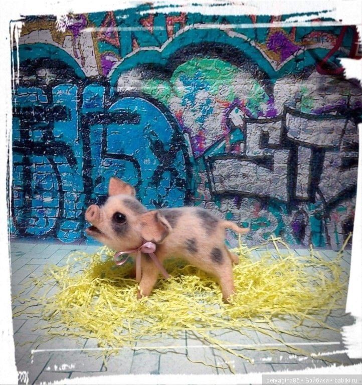 Поросёнок, символ 2019 года (фото 7)