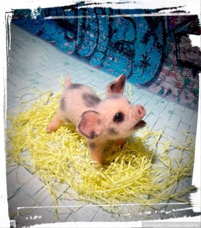 Поросёнок, символ 2019 года (фото 5)