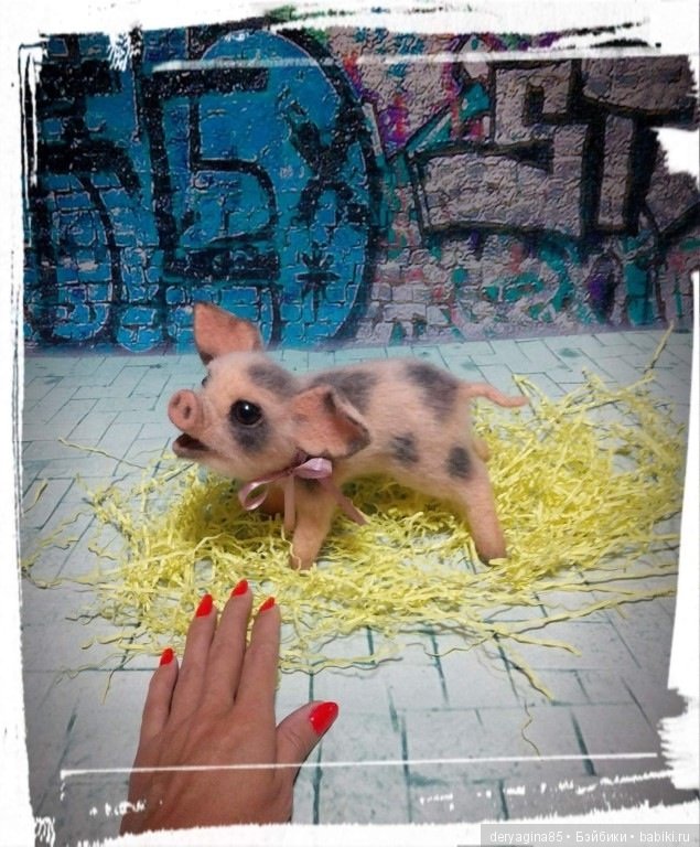 Поросёнок, символ 2019 года (фото 8)