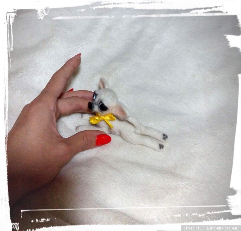 Микро чихуахуа — Валяные игрушки из шерсти: сухое валяние (фото 6)