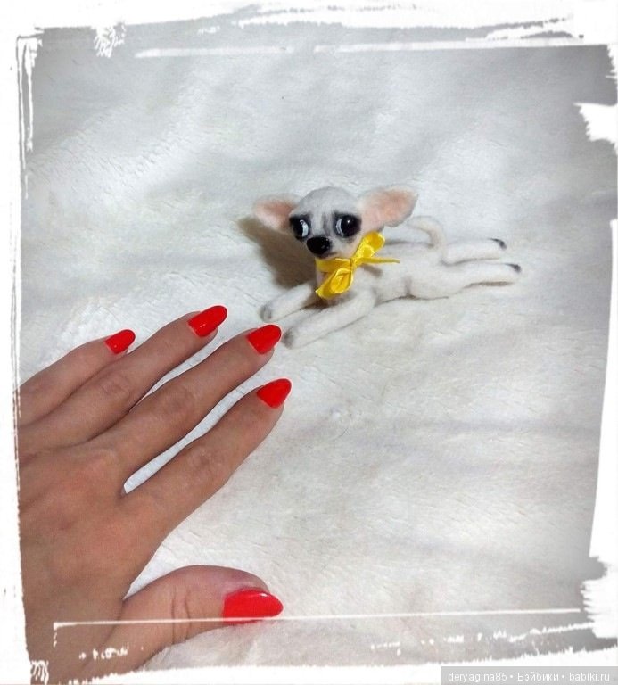 Микро чихуахуа — Валяные игрушки из шерсти: сухое валяние