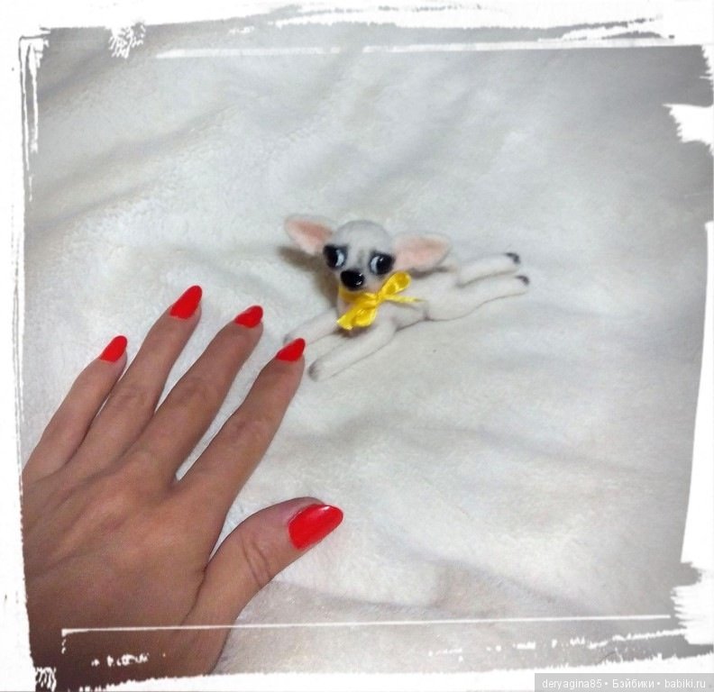 Микро чихуахуа — Валяные игрушки из шерсти: сухое валяние (фото 8)