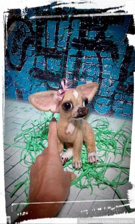 Чихуахуа — Валяные игрушки из шерсти: сухое валяние (фото 3)