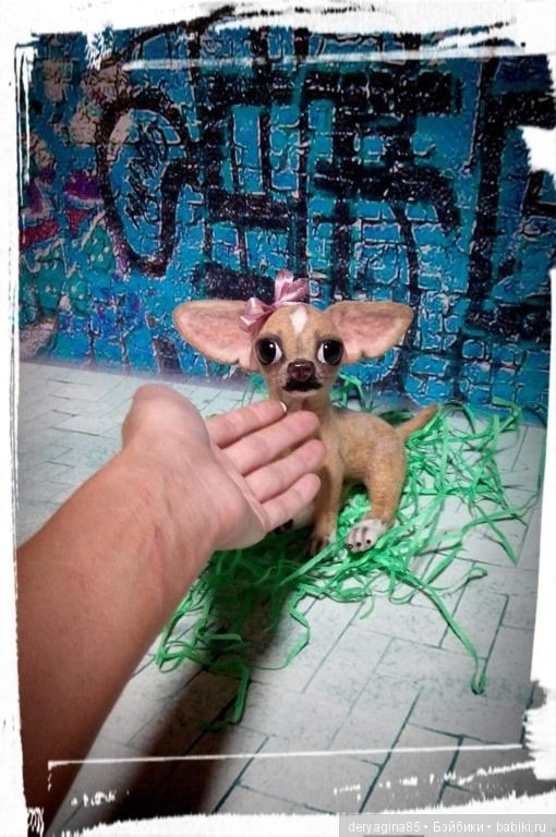 Чихуахуа — Валяные игрушки из шерсти: сухое валяние (фото 5)