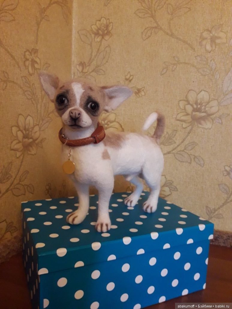 Малыш чихуахуа — Валяные игрушки из шерсти: сухое валяние (фото 2)