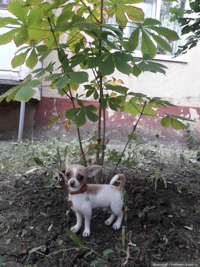 Малыш чихуахуа — Валяные игрушки из шерсти: сухое валяние (фото 7)