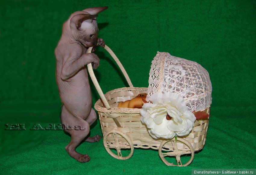 Вселяет в сердце и нежность и блаженство. Сфинкс - само совершенство (фото 2)