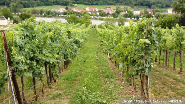 Самые красивые города Австрии. Дюрнштайн (фото 10)