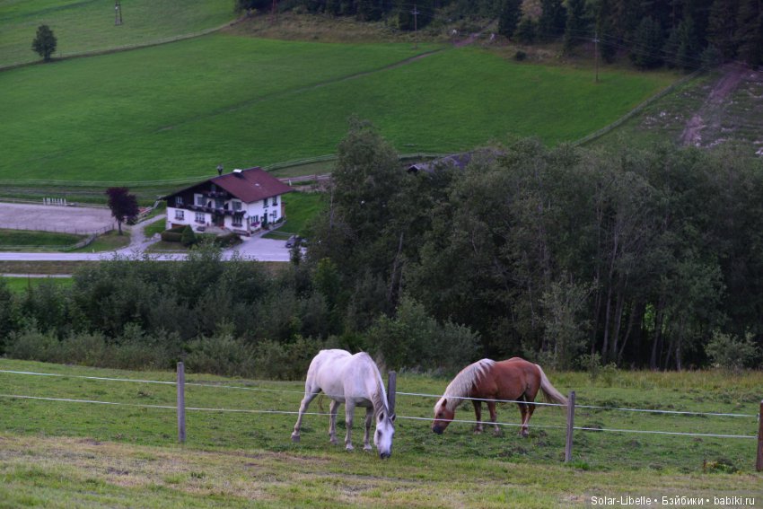 Зальцбург. Австрия — Туризм и путешествия: фотоотчеты из поездок