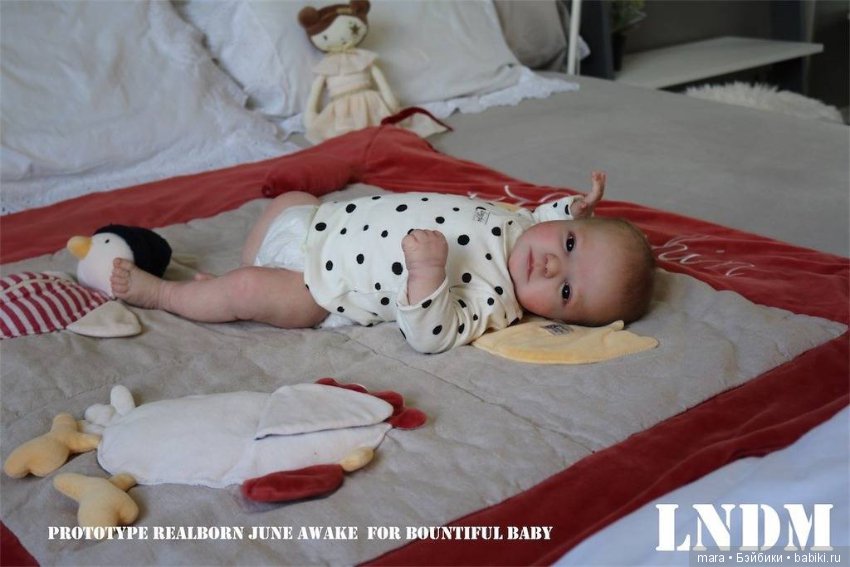 Realborn June Awake from Bountiful Baby, автор прототипа Marie Metayer