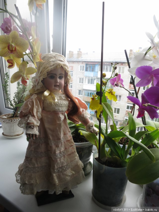 А любите ли Вы орхидеи — Антикварные куклы Jumeau (Жюмо): Tete Jumeau (фото 2)