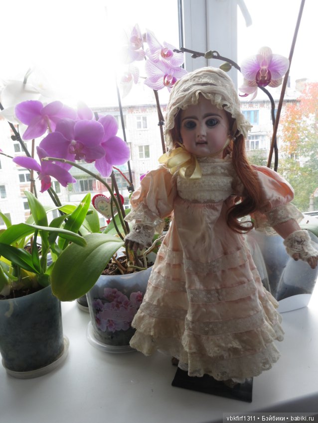 А любите ли Вы орхидеи — Антикварные куклы Jumeau (Жюмо): Tete Jumeau