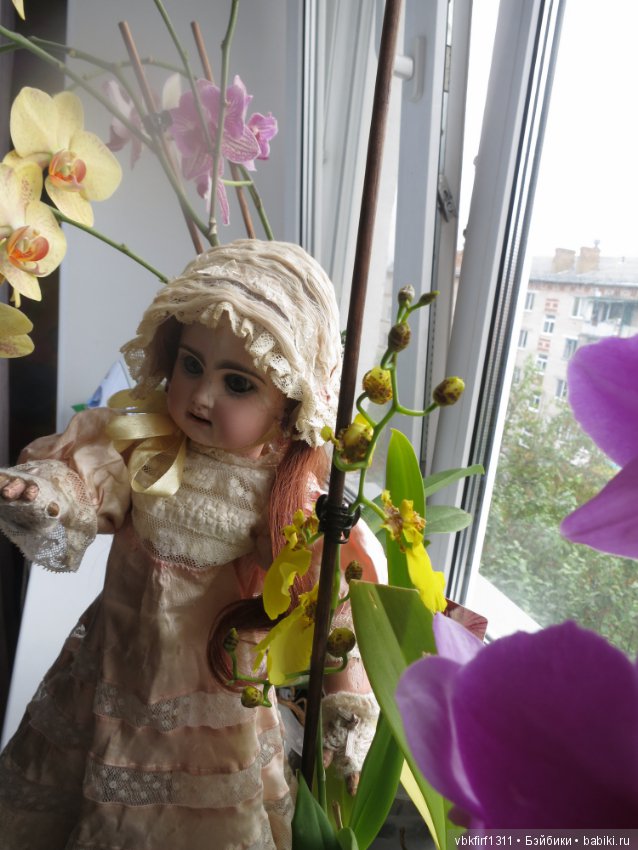 А любите ли Вы орхидеи — Антикварные куклы Jumeau (Жюмо): Tete Jumeau (фото 4)