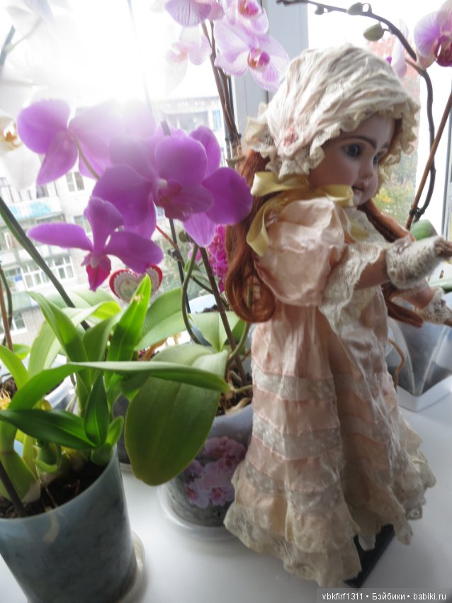 А любите ли Вы орхидеи — Антикварные куклы Jumeau (Жюмо): Tete Jumeau (фото 8)