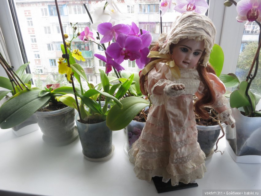 А любите ли Вы орхидеи — Антикварные куклы Jumeau (Жюмо): Tete Jumeau (фото 6)