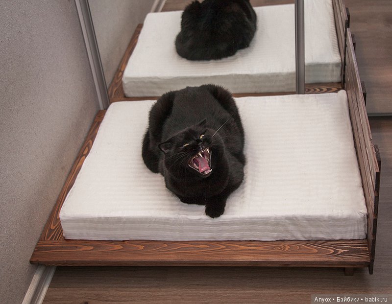 Одно утро — Куклы Iplehouse (Иплхаус): BJD (БЖД)