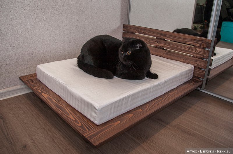 Одно утро — Куклы Iplehouse (Иплхаус): BJD (БЖД)