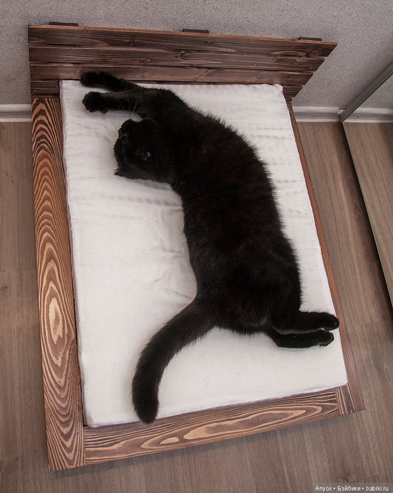 Одно утро — Куклы Iplehouse (Иплхаус): BJD (БЖД)