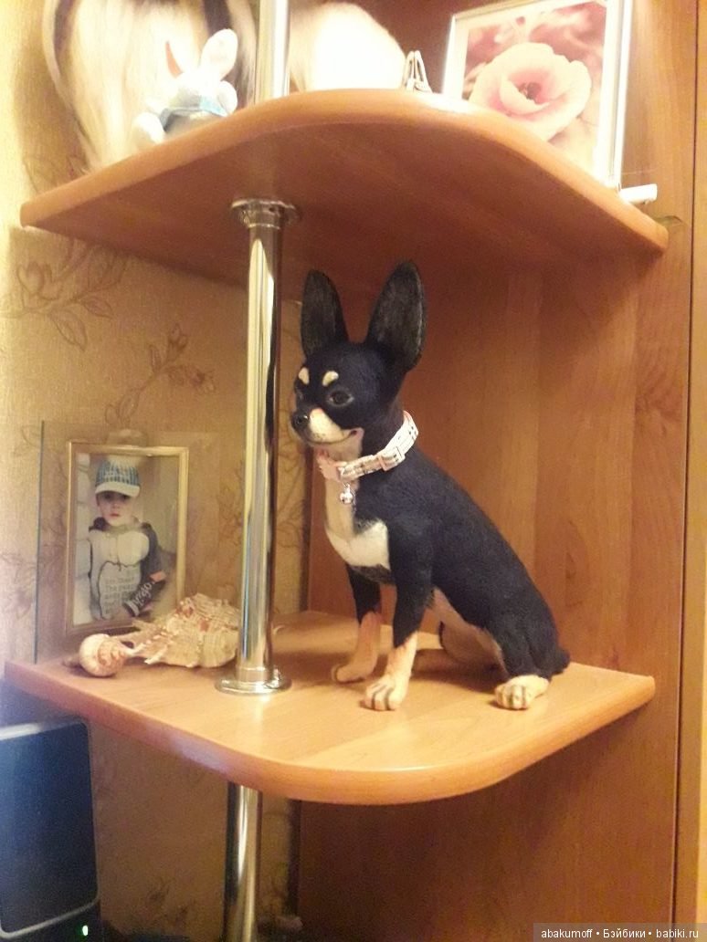 Чихуахуа из шерсти — Валяные игрушки из шерсти: сухое валяние (фото 6)