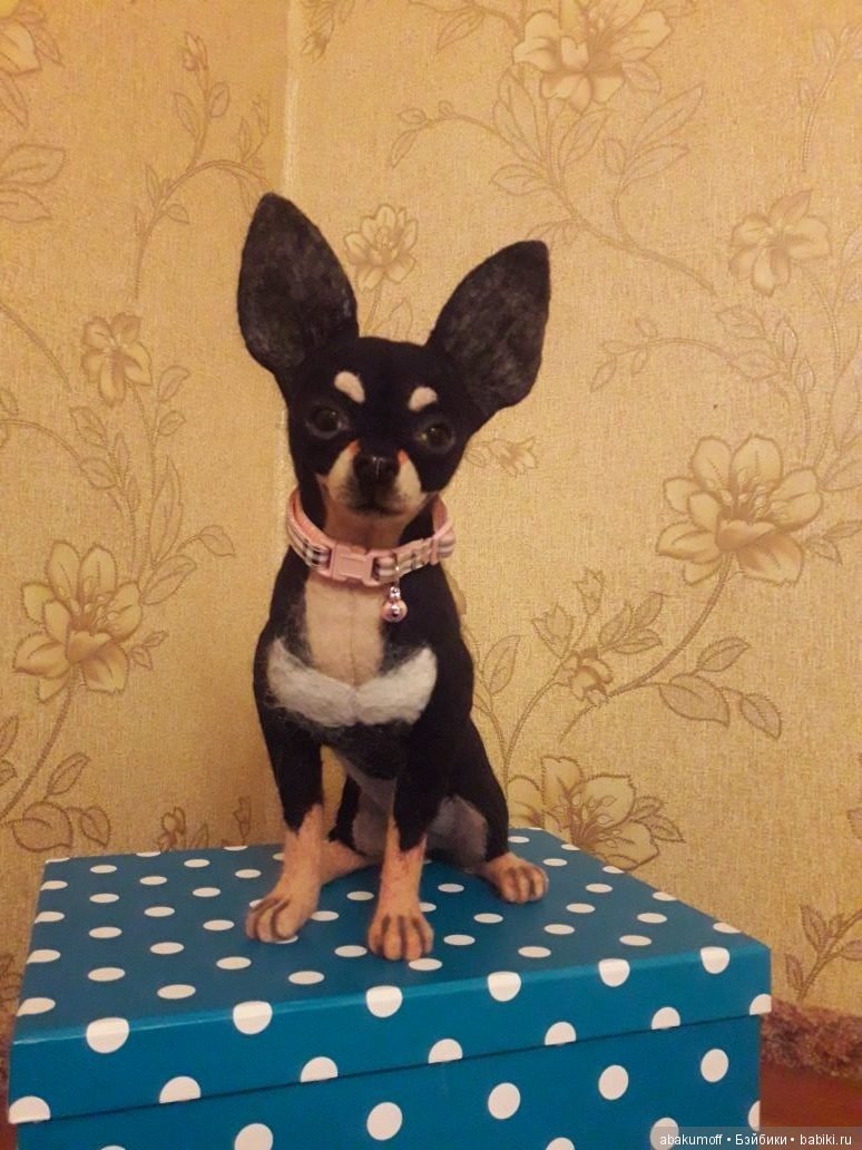 Чихуахуа из шерсти — Валяные игрушки из шерсти: сухое валяние