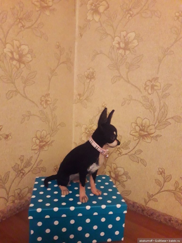 Чихуахуа из шерсти — Валяные игрушки из шерсти: сухое валяние (фото 4)