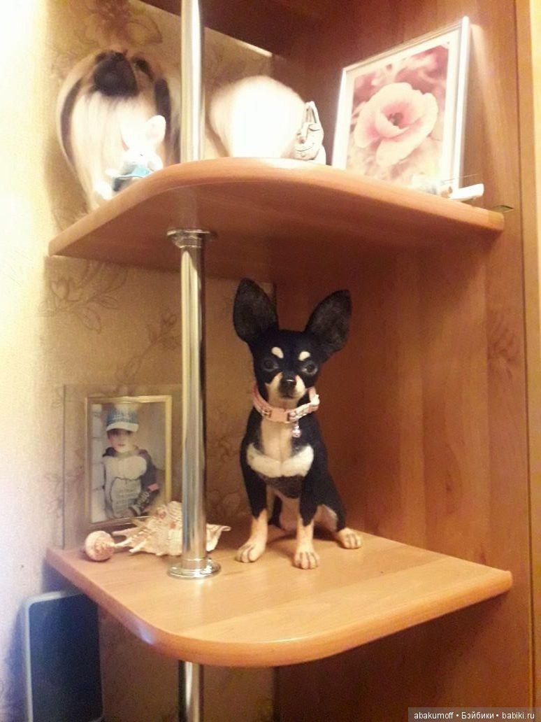 Чихуахуа из шерсти — Валяные игрушки из шерсти: сухое валяние (фото 3)