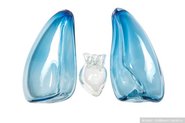 Гигантские человеческие органы из стекла от дизайнера Sigga Heimis (фото 2)