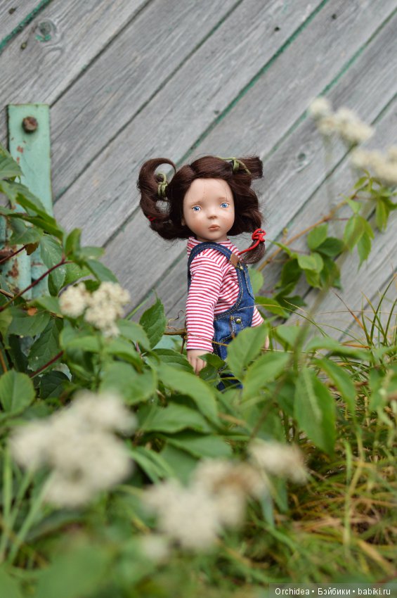 Гуляем с Лилак. Lilac Zwergnase Junior (фото 8)