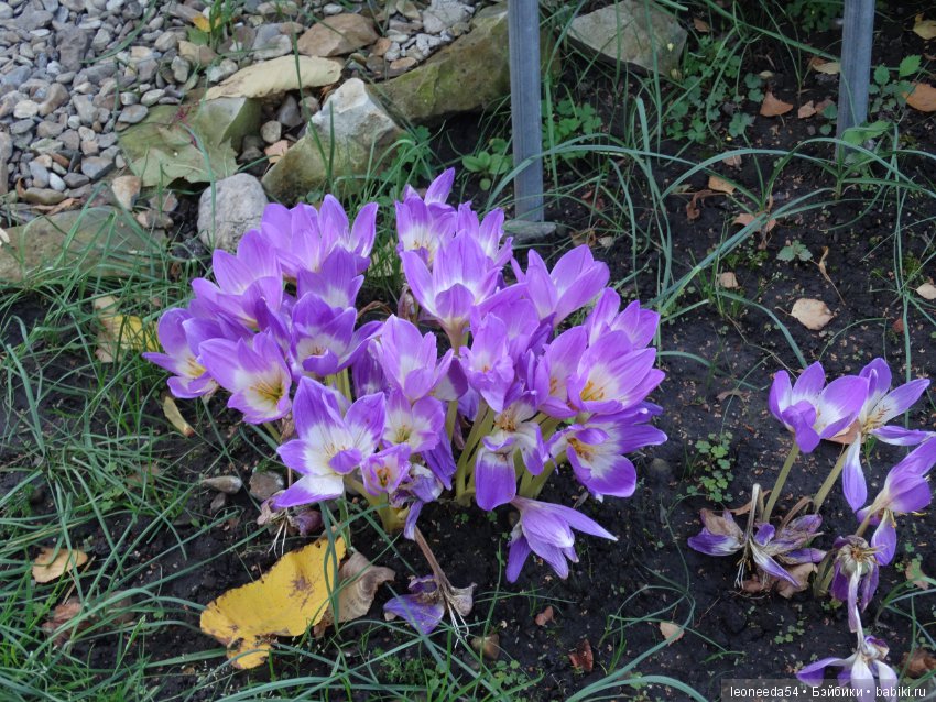 Прогулка по Ботаническому саду