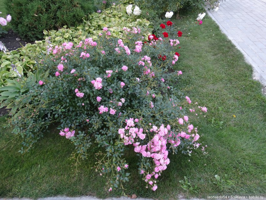 Прогулка по Ботаническому саду