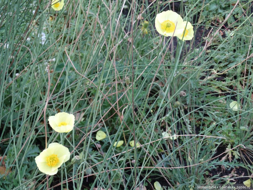 Прогулка по Ботаническому саду