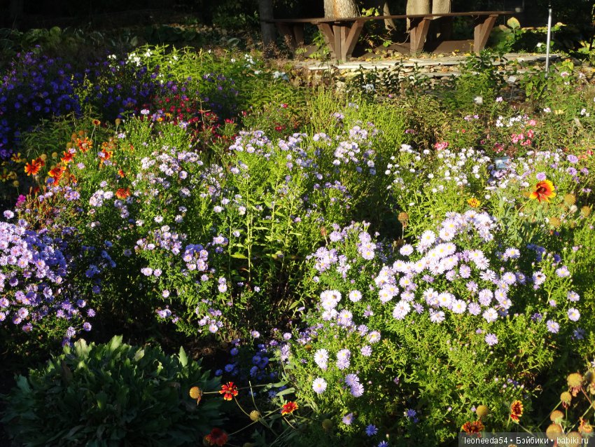 Прогулка по Ботаническому саду