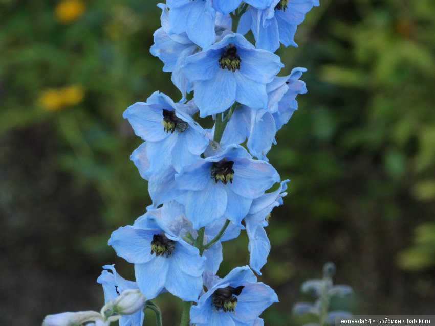 Прогулка по Ботаническому саду