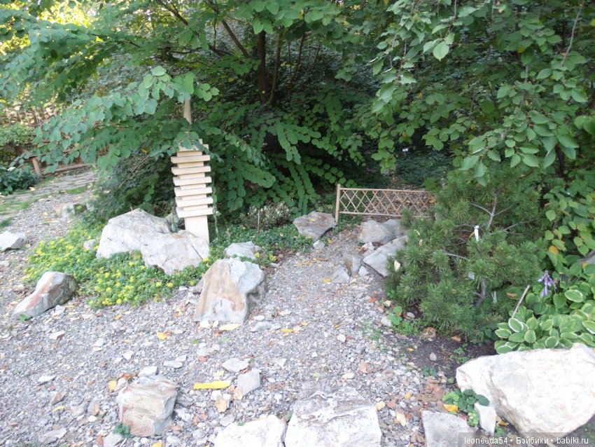 Прогулка по Ботаническому саду (фото 10)