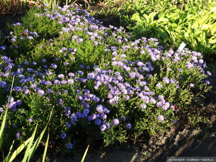 Прогулка по Ботаническому саду