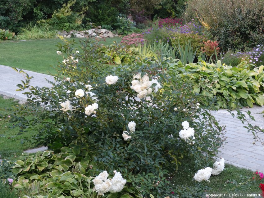 Прогулка по Ботаническому саду