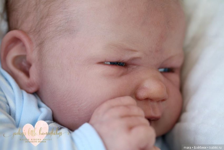 Elwyn скульптора Elisa Marx, автор прототипа Jacqueline Kramer