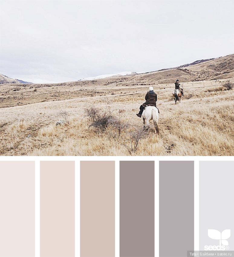 Еще раз о сочетании цветов (фото 7)