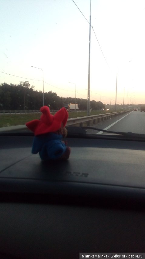 Приключения медвежонка Падди или маленькое путешествие большого друга