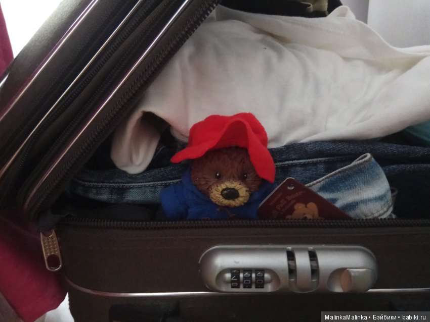 Приключения медвежонка Падди или маленькое путешествие большого друга (фото 8)