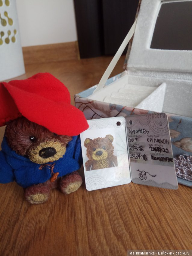 Приключения медвежонка Падди или маленькое путешествие большого друга (фото 7)