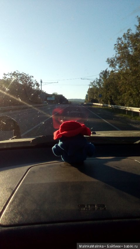 Приключения медвежонка Падди или маленькое путешествие большого друга